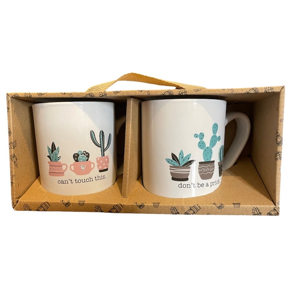 NWT Succulent Mug Gift Set